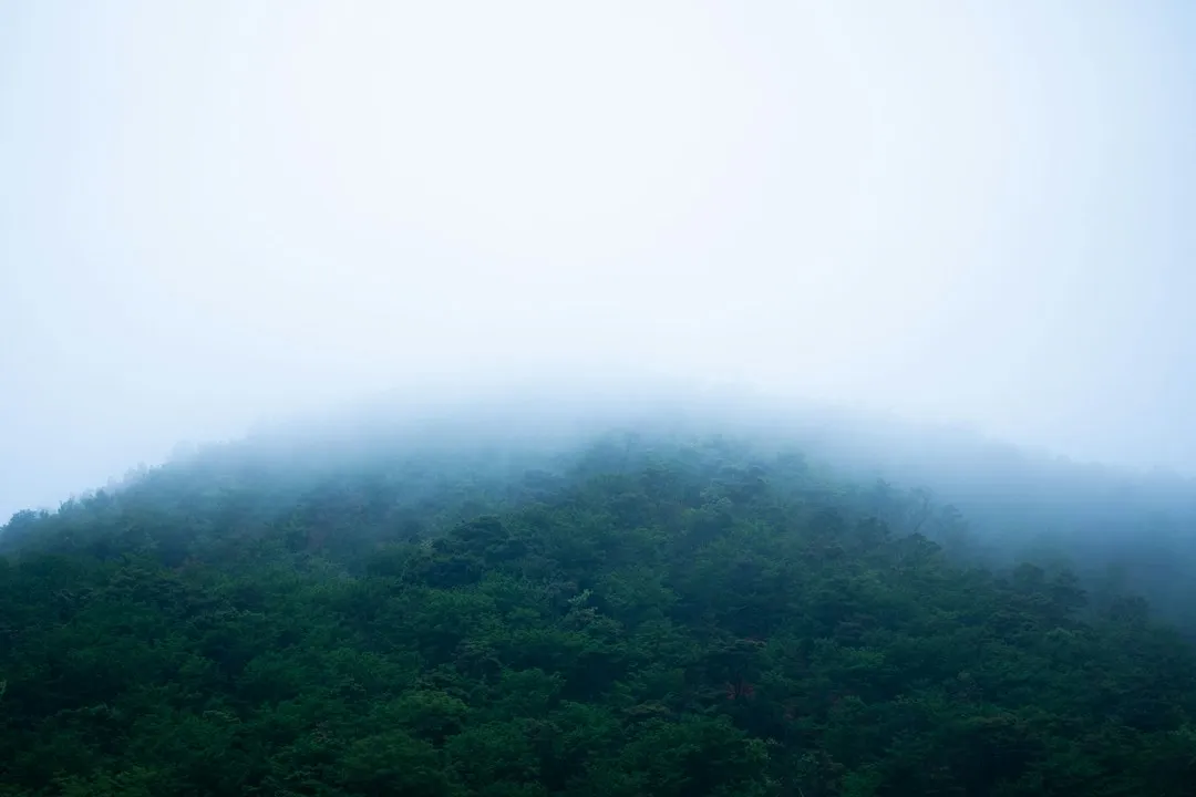 通讯器材与数码配件供应链质量控制技术要点解析