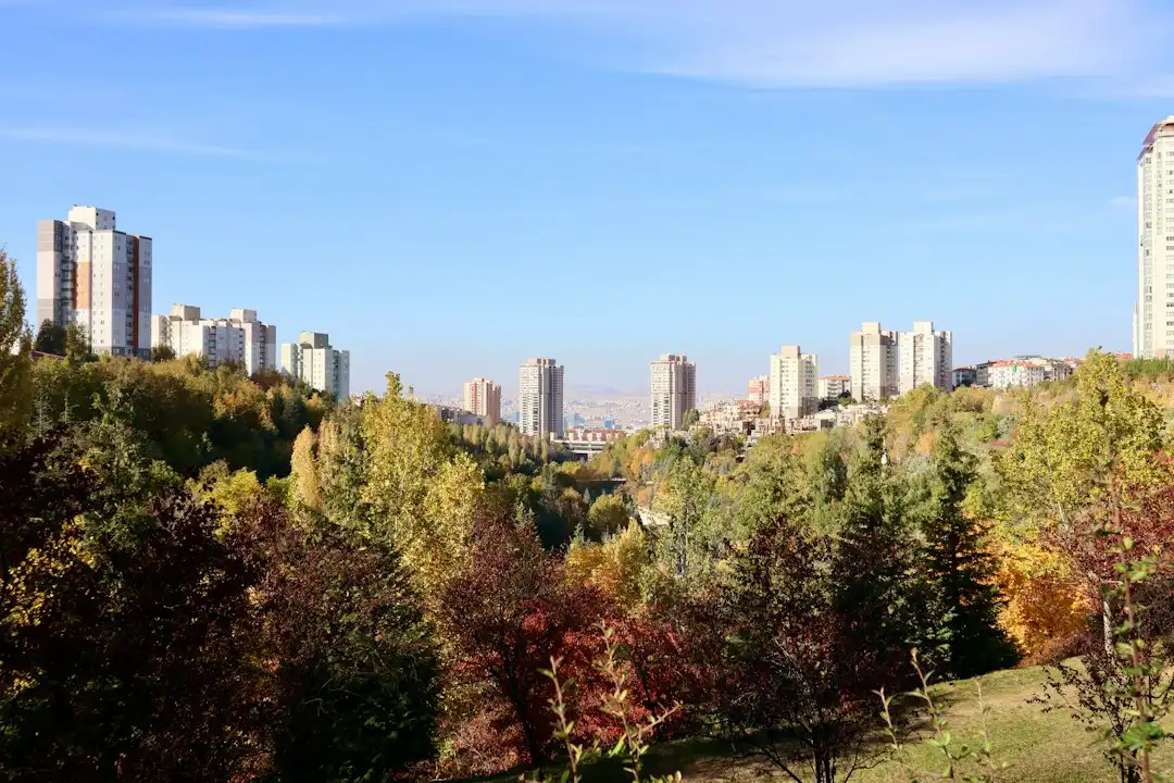 企业级办公设备升级方案：从数码配件到智能终端的配置建议